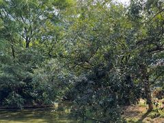 -人民公园(罗湖区)