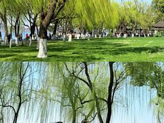 -柳浪闻莺公园