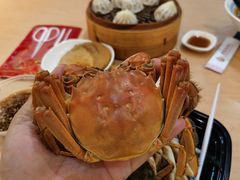 -黄记大闸蟹专卖店·活蟹·醉蟹