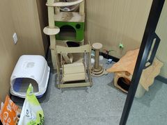 -网鱼网咖·电竞(南开百脑汇店)
