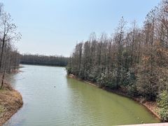 -上海海湾国家森林公园