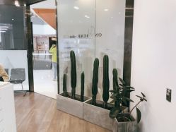 点击看大图 -ON STAR SALON
