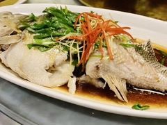 -老广酒楼(樱花店)