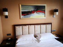 -长沙小天鹅戴斯酒店