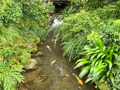 -中国茶叶博物馆(双峰馆区)