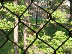 -哈尔滨北方森林动物园