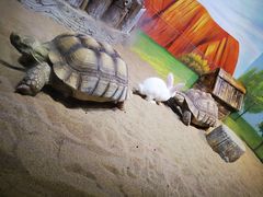 -华夏文旅海洋公园