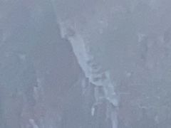 -天目山大树王景区