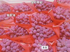 -双福水果批发市场