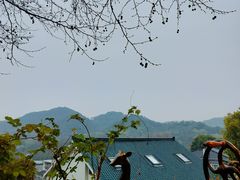 -马灯部落·西湖边的创意山景餐厅(虎跑动物园店)
