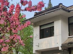 -团结湖公园