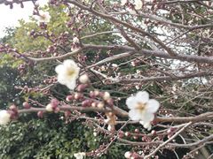 -麓舍全景太湖温泉别墅团建拓展会议亲子