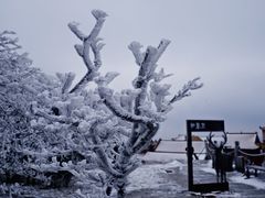 -长沙黑麋峰国家森林公园