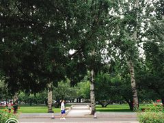 -中央民族大学