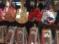 -猫咪博物馆(顶澳仔猫街店)