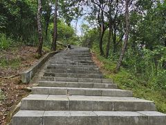 -广州白江湖森林公园