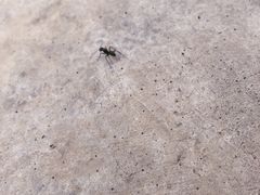 -紫云台香草园