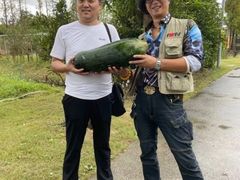 -前小桔亲子创意农场·草莓采摘·露营烧烤