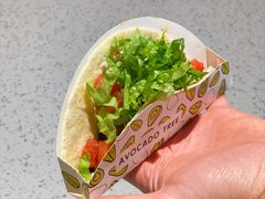 -油梨树AVOCADO TREE(嘉里中心店)