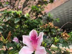 -香港理工大学