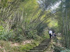-长沙黑麋峰国家森林公园