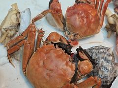 -半岛听涛蒸汽海鲜自助(K11店)