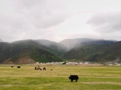-纳帕海依拉草原
