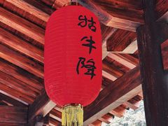 -石台牯牛降景区