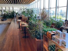 大堂-Seesaw Coffee(朝阳大悦城店)