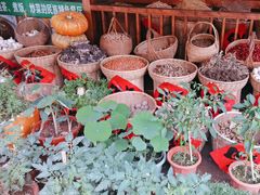-映象潇湘·小瑶村(植物园店)