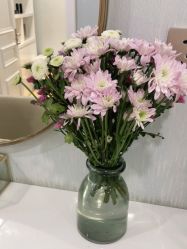-YESIDO椰岛美容