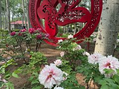 -仁和公园(顺义区)