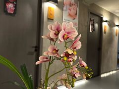 -施奈儿.洗头頭療.按摩SPA.采耳(上梅林店)