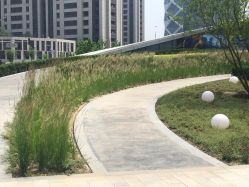 -大望京儿童游乐场