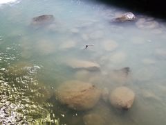 -阿依河景区