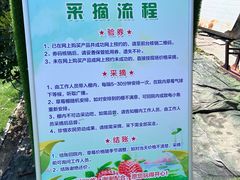 -小鱼草莓采摘园农家乐·小鱼餐厅