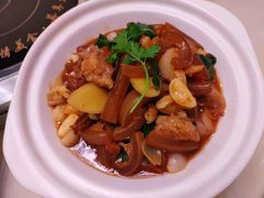 -墨脱石锅椰子鸡•香草鸭•东山羊(大东海店)