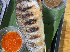 -杨合林啊兰烤鱼