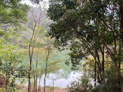 -佛山市三水区大南山森林公园