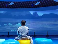 -广东惠东海龟国家级自然保护区
