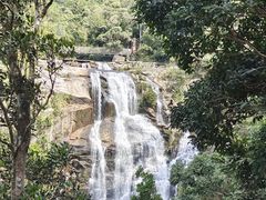 -海南热带雨林国家公园吊罗山景区
