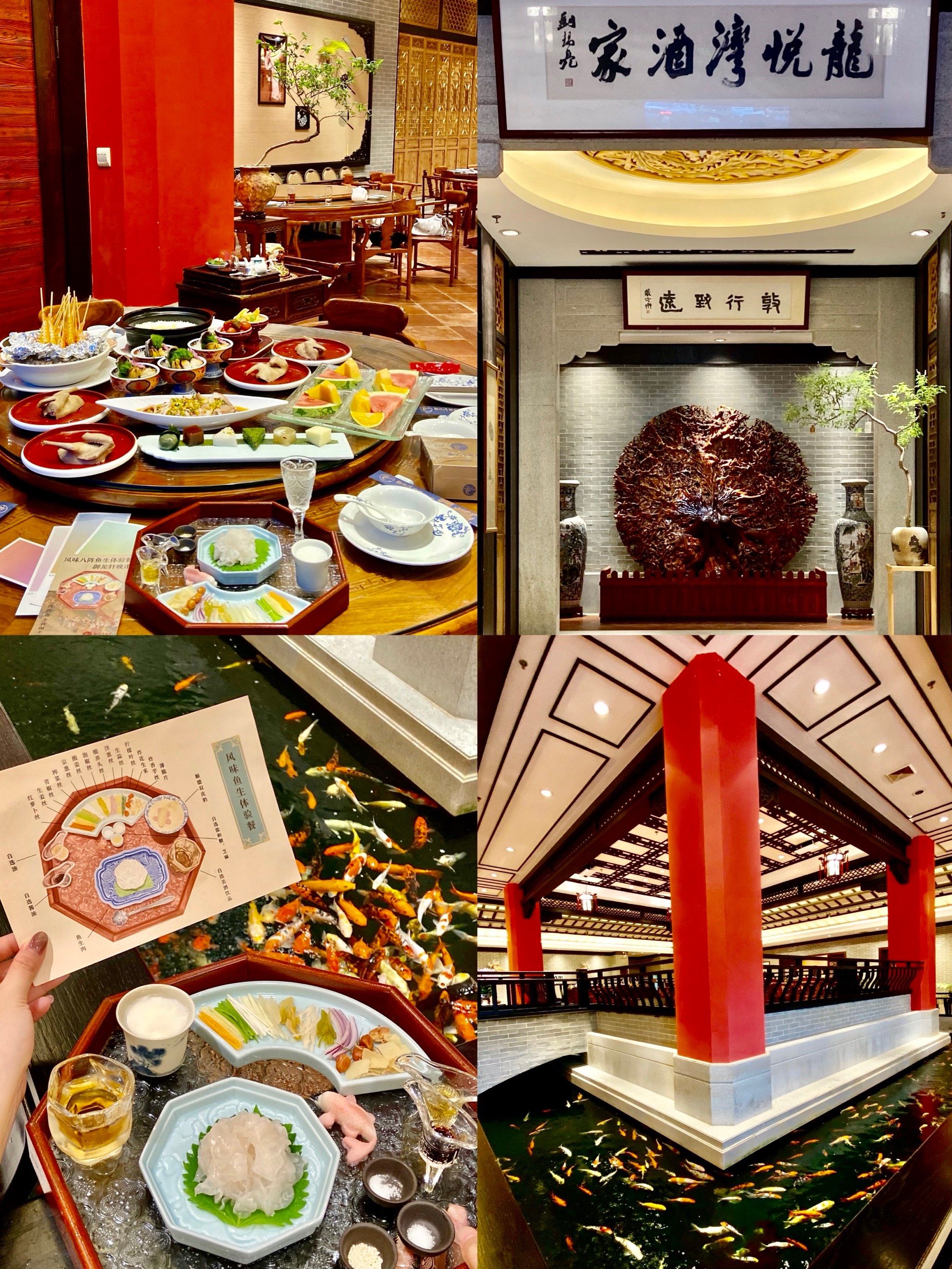 0元玩转这座城 #创作者赏金计划 #优质笔记萌芽计划 
龙悦湾旗下的