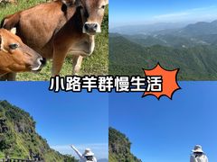 -天龙顶山地公园