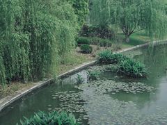 -潜龙渠公园