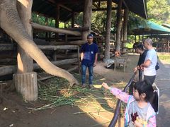 -清迈夜间动物园