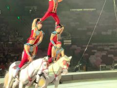 -广州长隆国际大马戏