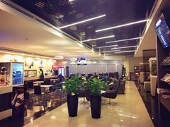 -谢列梅捷沃国际机场