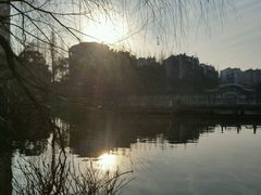 -沙市市中山公园