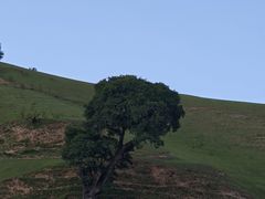 -关山草原