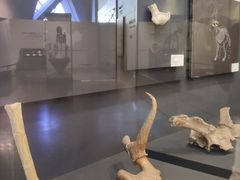 -北京周口店北京人遗址博物馆
